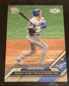 Item thumbnail for item 2f367336-5fbb-4644-be82-81456501bc73