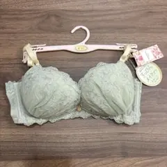 刺繍入りグリーンブラジャー C65