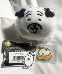 ナガノ　パグ　まとめ