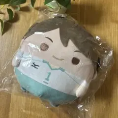 ハイキュー!! ふわコロりんMsize4 及川徹
