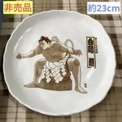骨董品　相撲大皿32センチ 2025年最新】相撲 大皿の人気アイテム - メルカリ