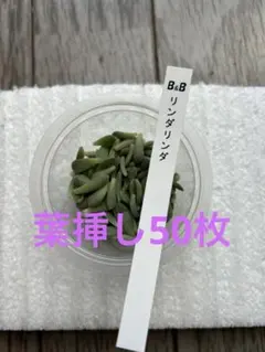 みるこ様 リクエスト 3点 まとめ商品