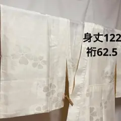 b235 正絹　単衣　長襦袢　半衿無し　バチ衿　アイボリー系　極美品　着物