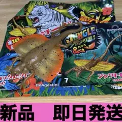 ジャングル &co.