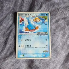 ポケパークのミズゴロウ 048/PCG-P ポケモンカード ポケカ プロモ h2