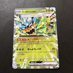 2026年最新】オーガポンみどりのめんexRRの人気アイテム - メルカリ