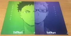 ハイキュー　ファイル　2点セット