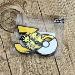 ポケモン 30周年記念 ゼラオラ マグネットのサムネイル