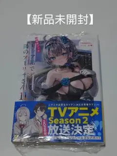 【新品未開封】 時々ボソッとロシア語でデレる隣のアーリャさん 11