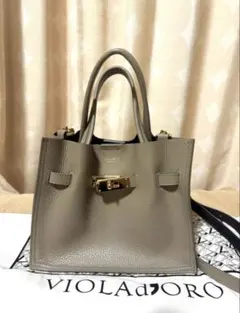 ☆美品☆ VIOLAd