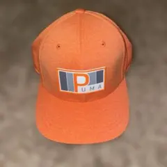 Item thumbnail for item 3a295366-58db-441f-afcf-764e37cf3196