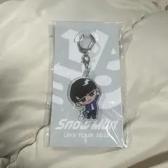 SnowMan スノチル ぶら下がり アクリルキーホルダー　渡辺翔太