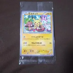 いっしょにたべよ プロモ ピカチュウ ポケモンべんとう 154/xy-未開封