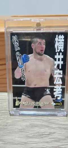 Item thumbnail for item d8f74705-8f53-4f85-bcbf-5463f82cd3c5