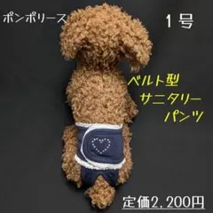 Item thumbnail for item 23bd7b27-b1dd-4112-893d-edc4a3285a7f