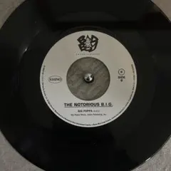 Item thumbnail for item 45859d93-a80a-4ddc-8d0c-dedc2e454955