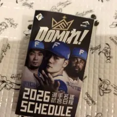 Item thumbnail for item bbc19111-4500-4599-9a92-988a4ddf90ee