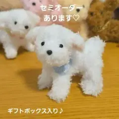未散様 トイプードルぬいぐるみ モールドールおまとめ【J】【P