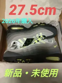 NIKEエAIRMAX 95 BIG BUBBLE メンズ27.5cm