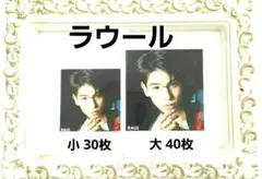 Myojo 12月号  ラウール  厚紙 名言カード 70枚 SnowMan