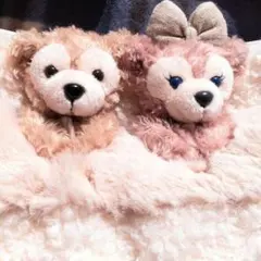 ディズニーリゾート！　ダッフィー　シェリーメイ　ショルダーバッグ