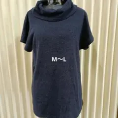 Item thumbnail for item 101fc370-ec3a-40e8-b954-c9fe9d4c60f4