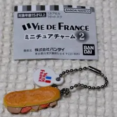 ヴィドフランスミニチュアチャーム2パニーニVIE DE FRANCE