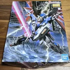 MG 1/100 デスティニーガンダム