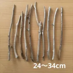 流木 10本セット 24〜34cm 工作素材　自然素材　天然　加工なし