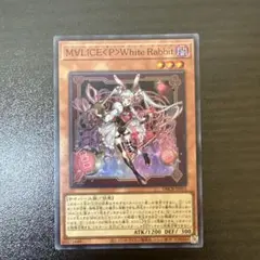 T　マリスホワイトラビット&バックアップQC3枚セット T マリスホワイトラビット&バックアップQC3枚セット T様専用