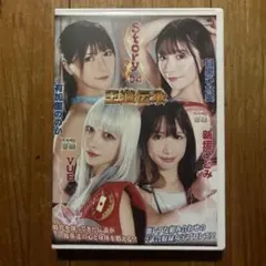 ❗️プロフィール確認希望❗️ キャットファイト　女子プロレス　女子プロレス DVDのサムネイル