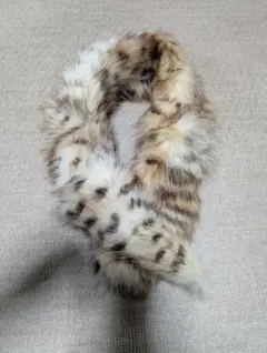 moussyリアルフォックファーティペット茶F