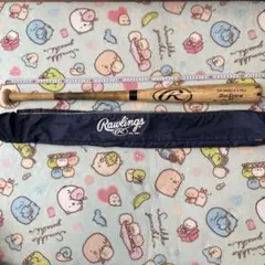 Item thumbnail for item 2707b294-1e9a-4b9f-9da1-84762d2e51cd