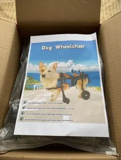 Item thumbnail for item 56eb9dbd-0726-42cb-8fa4-86a1baa5b429