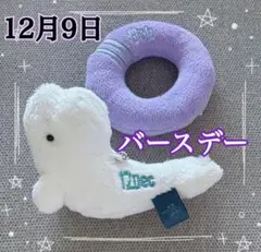 水族館 白イルカ ベルーガ ぬいキーホルダー 誕生日 バースデー 12月9日
