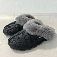 Item thumbnail for item 1c0a261b-4bc8-48d3-a41f-8343945db37b