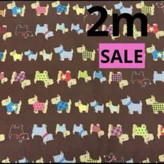 在庫処分SALE★シーチング★テリア★ブラウン★ラスト2枚★