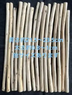 ariru2912様 リクエスト 2点 まとめ商品