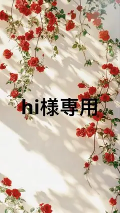 hi様一枚