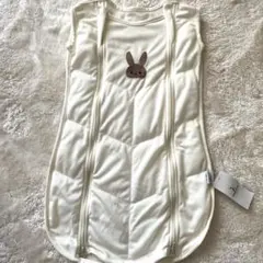 Item thumbnail for item 06569afb-4db6-4c02-8746-c6e2ae6964a5