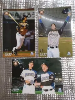 ありがとう様専用 大谷翔平 2013 ハイライトフォト 日本ハム 球団公式