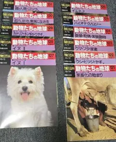 動物たちの地球 - メルカリ