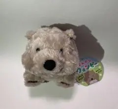 ずんぐり ウォンピー （新品）