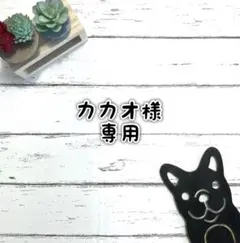 ■カカオ様 専用ページ■