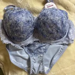 E95/4L Charm Lingerie ブラジャーショーツセット rej