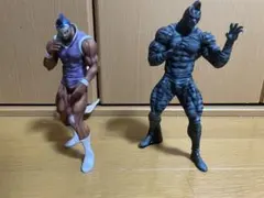 CCP マリポーサ　ゼブラ　特別カラー　セット