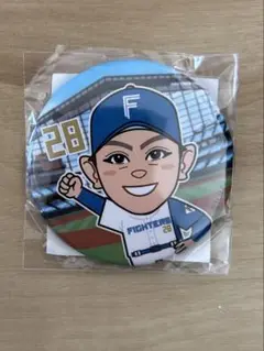 日本ハムファイターズ　河野竜生　バッジ　ガチャ