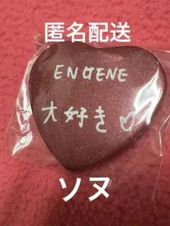 ENHYPEN house of vampire 缶バッジ ソヌ ガチャ