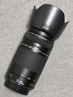 2026年最新】canon kiss x9i 望遠レンズの人気アイテム - メルカリ