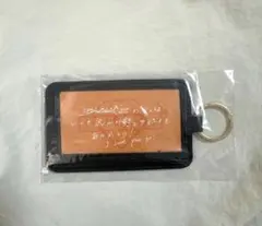 LDH カードケース BALLISTIKBOYZ